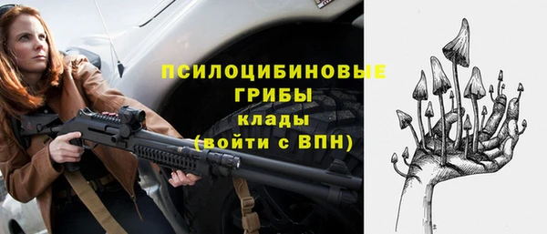 гашиш Касимов