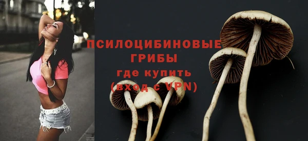 герыч Каменск-Шахтинский