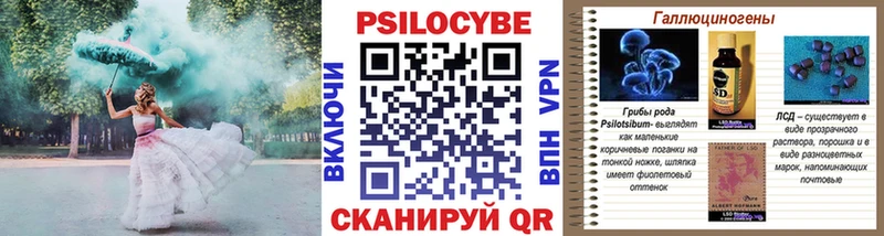 Купить где  Заринск  Псилоцибиновые грибы GOLDEN TEACHER 